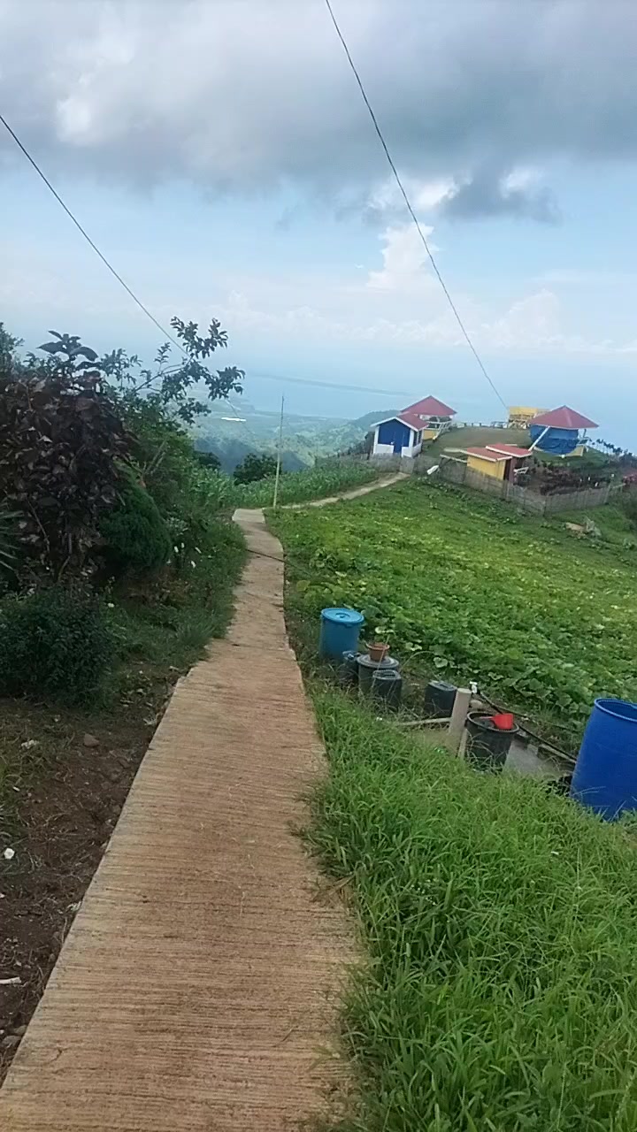 @Barredo Rosita