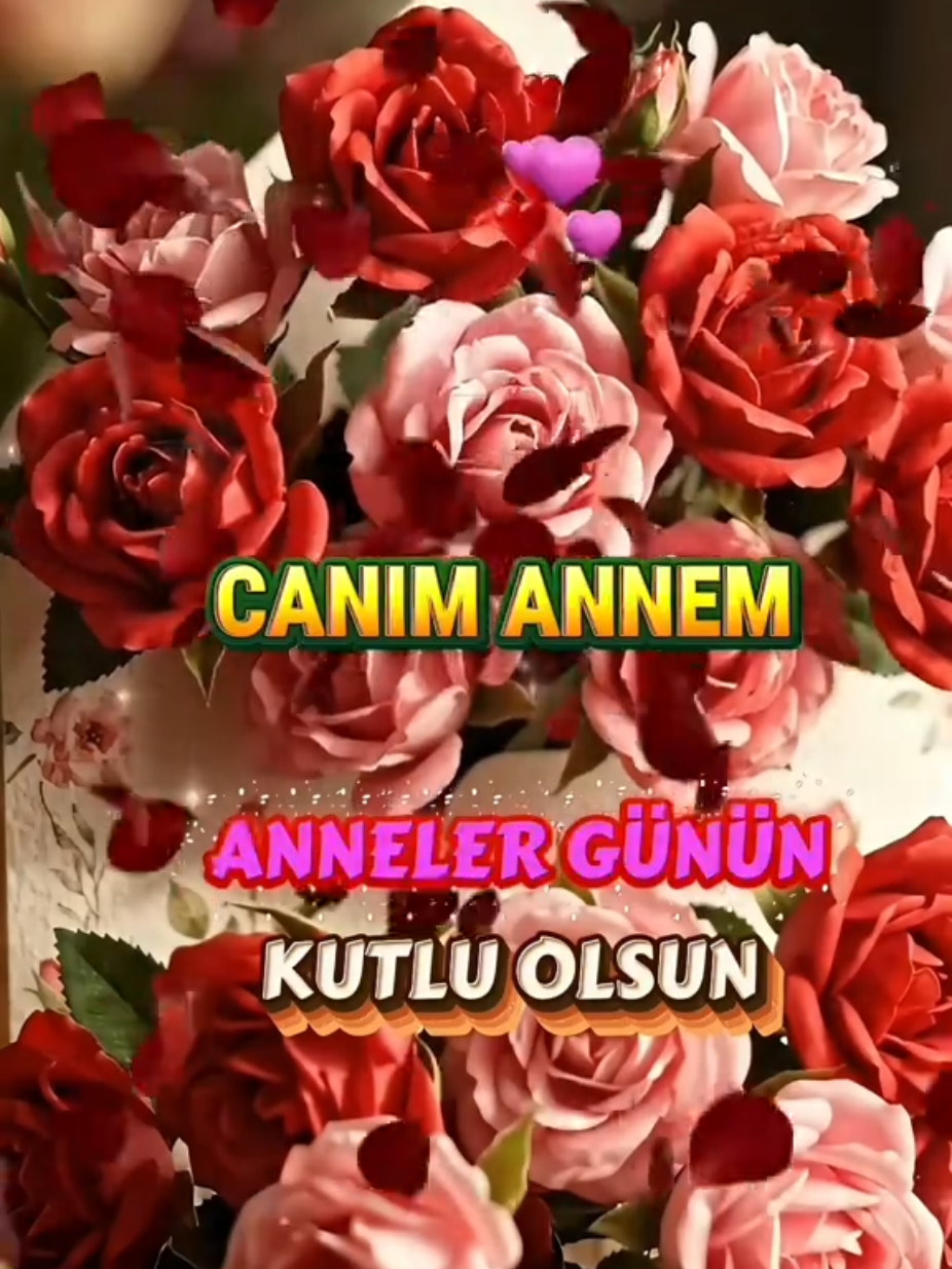 @@hayatsevinceguzel5537