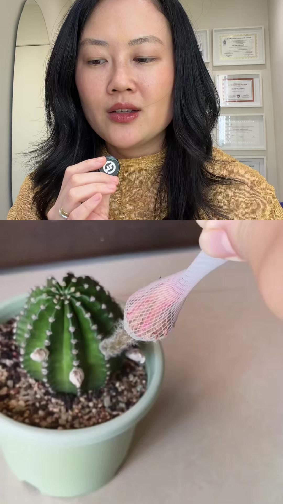 @Evelyn Liu