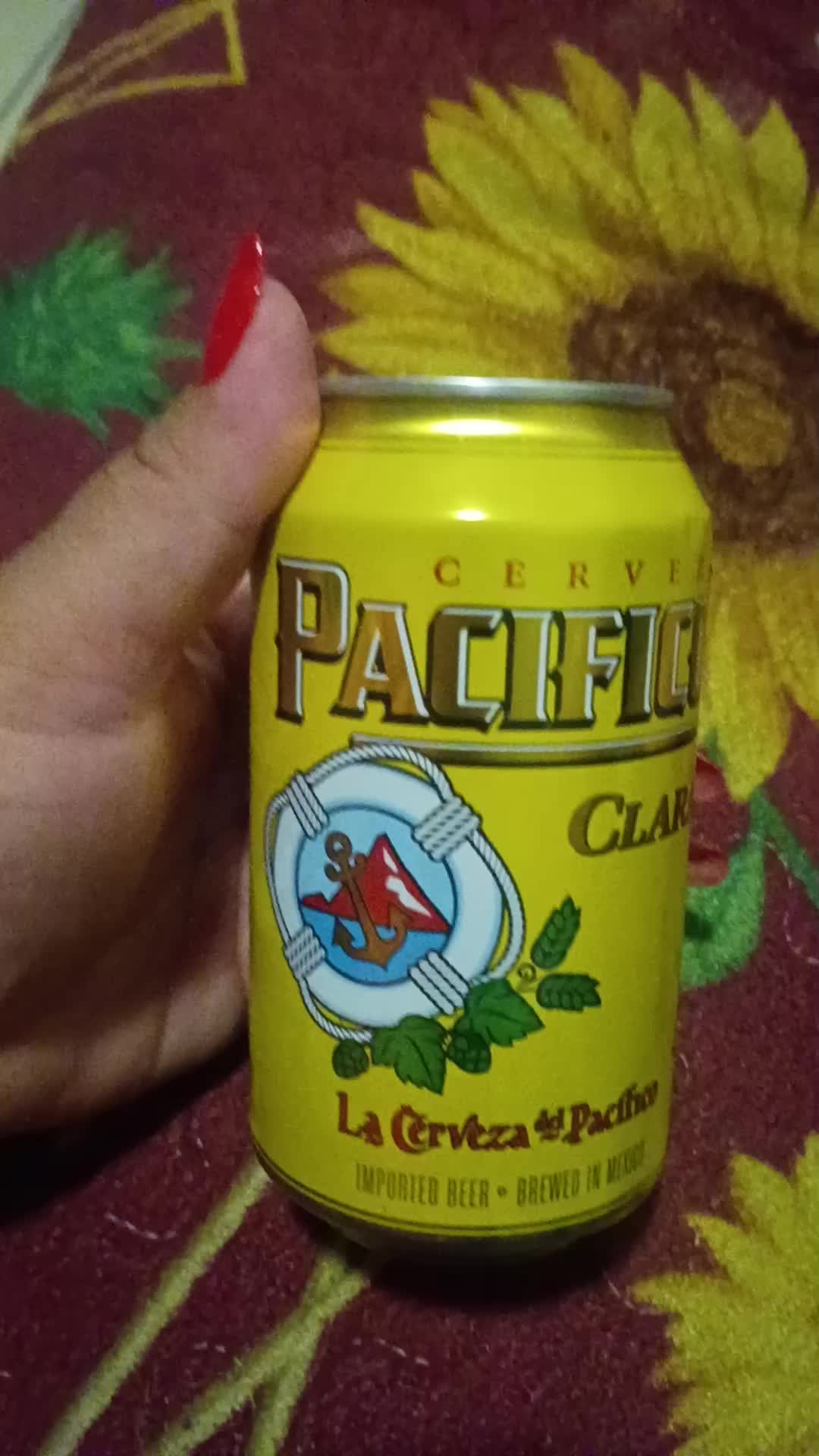 @503 Quinteros