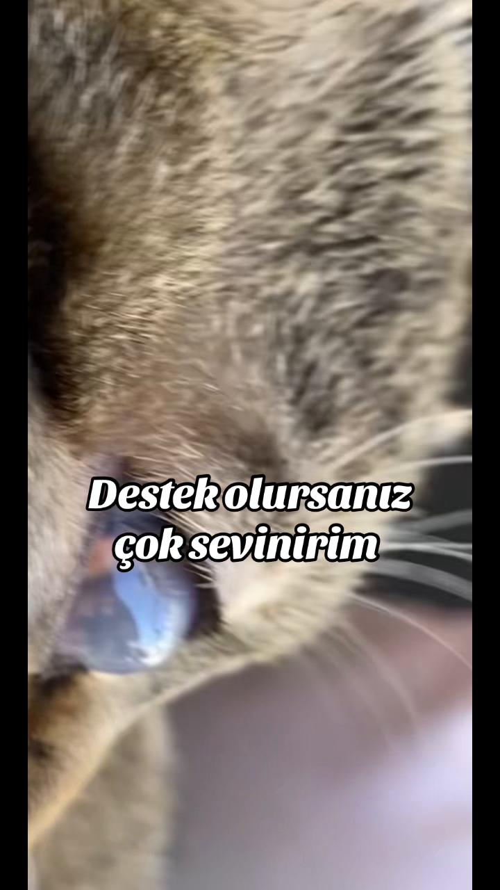 @yudummz_