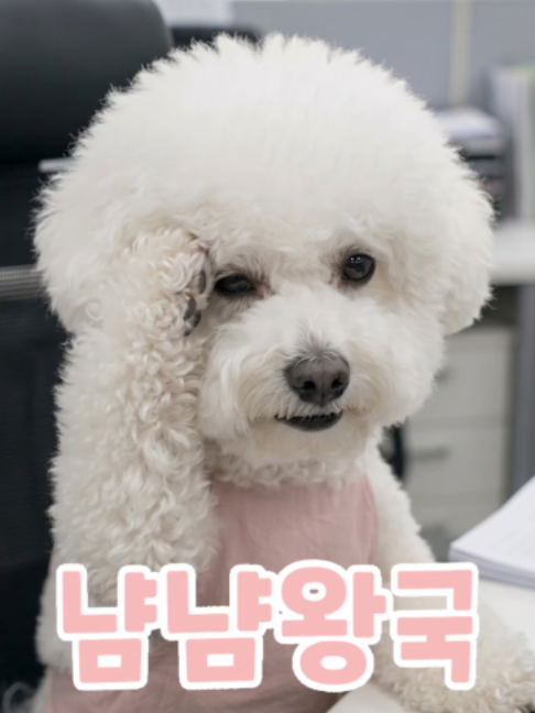 @냠냠왕국