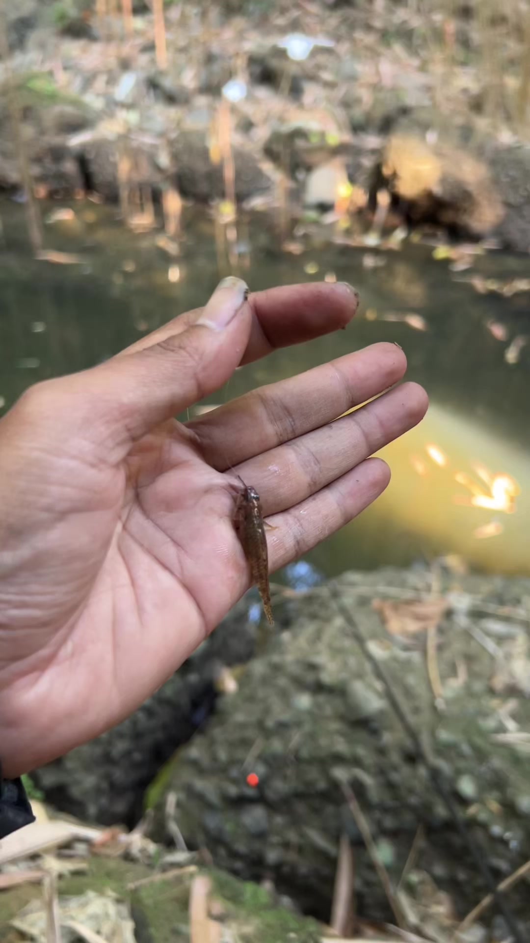 @unclemancing