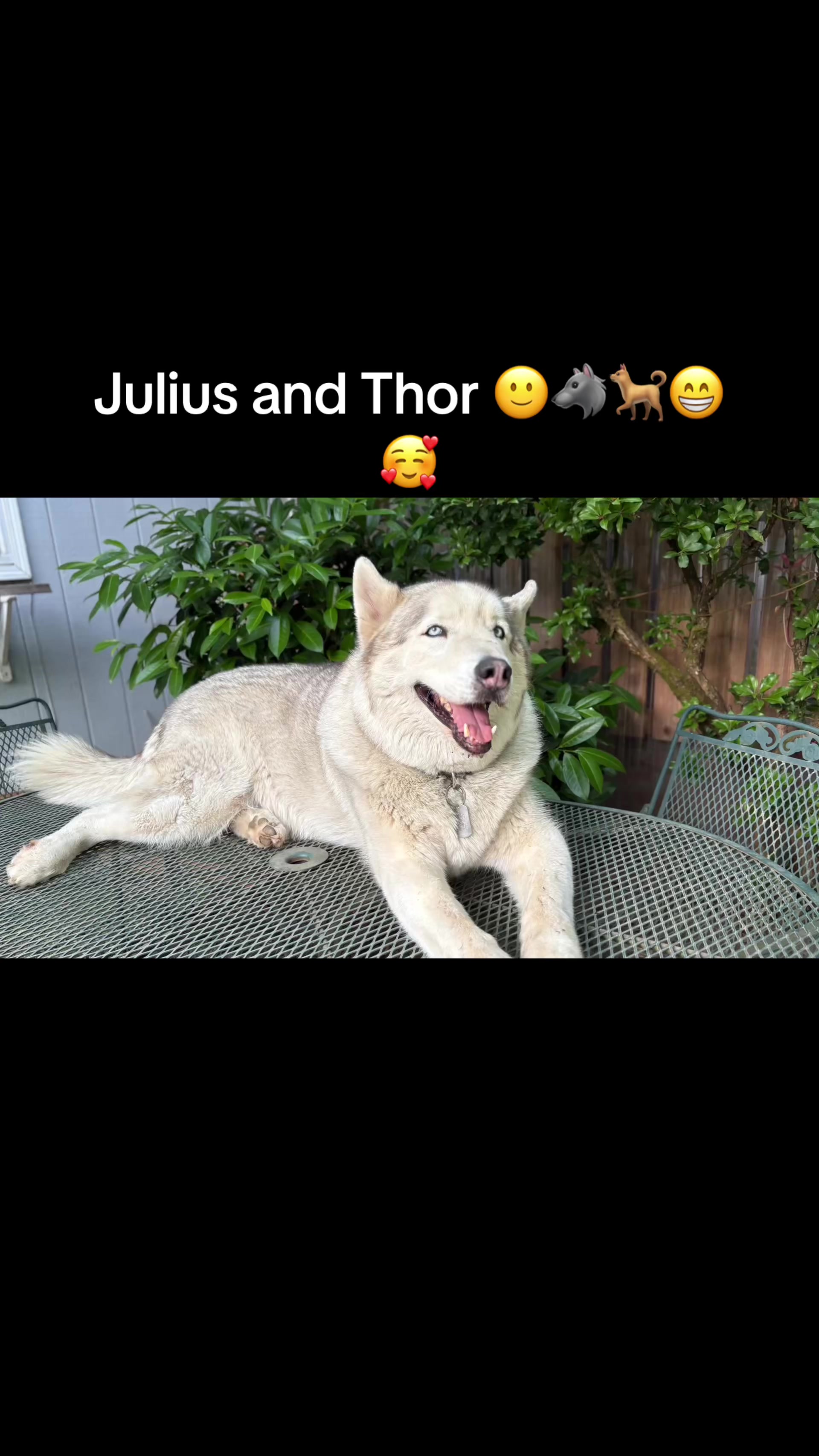 @janolouis95