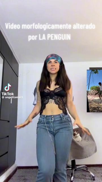 @LaPenguin