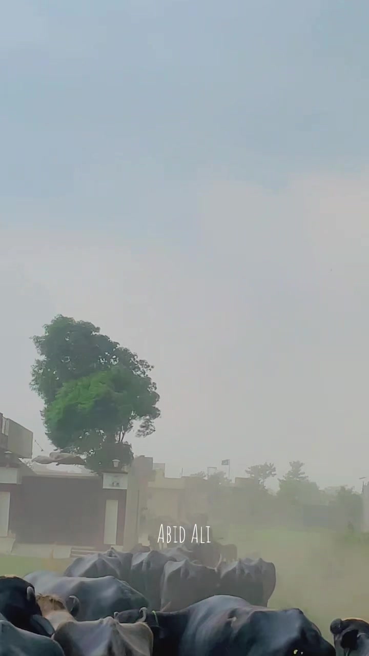 @🦁🦁🦁چوھردی عابدگجر🦁🦁🦁