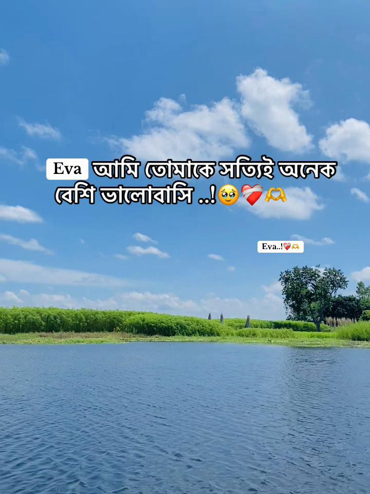 @Ashik