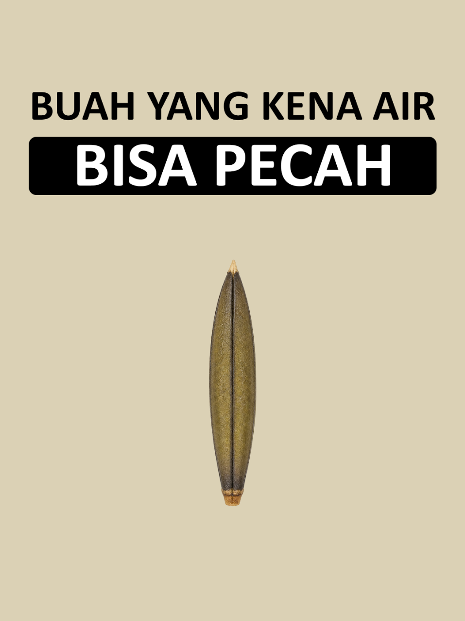 @Nahh Jadi