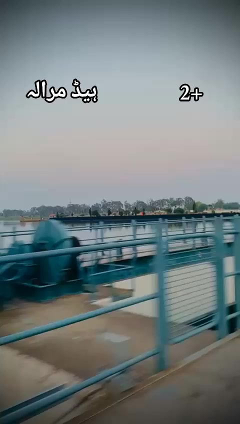 @👑JANI👑