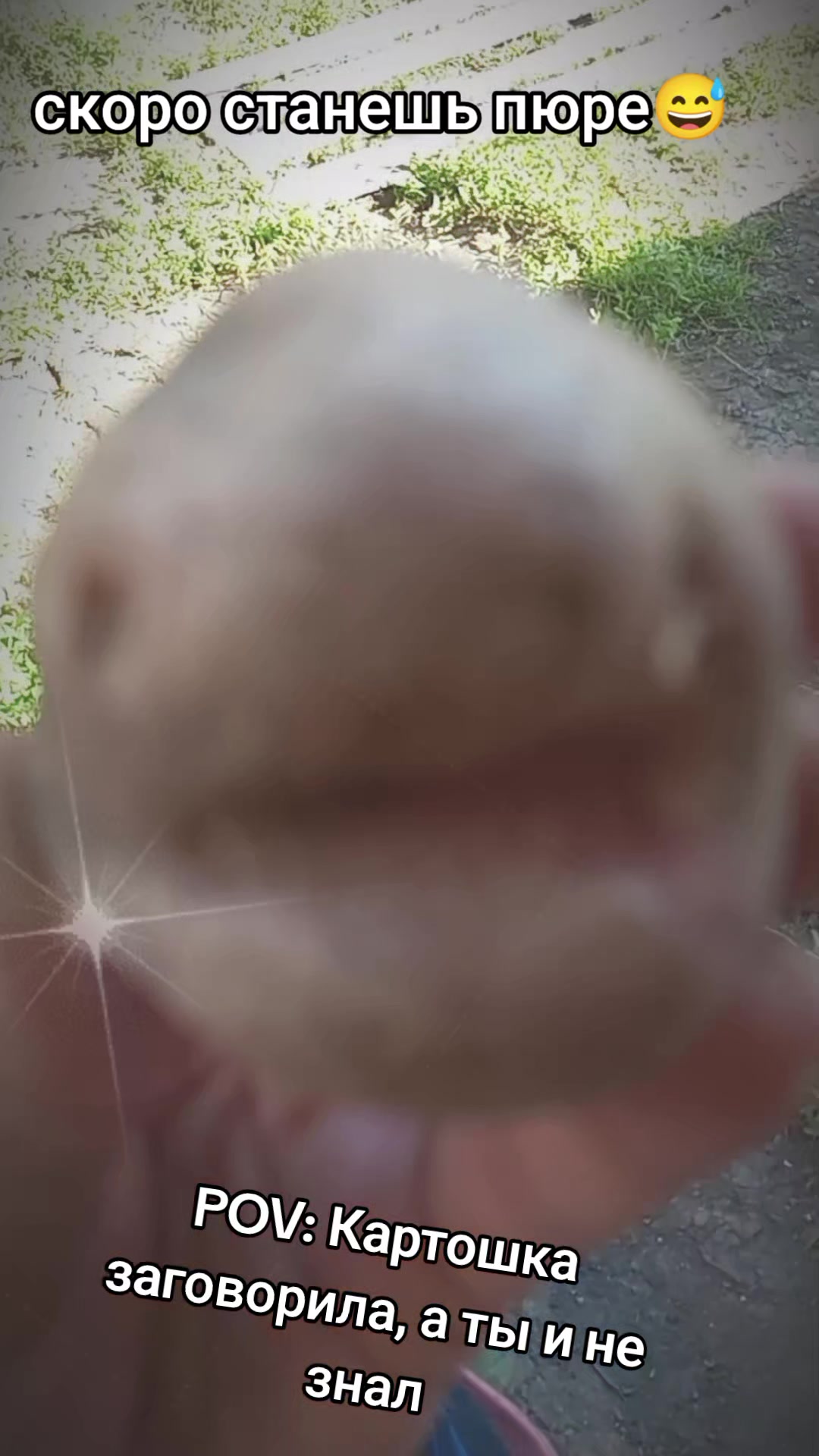 @user278533368490камета