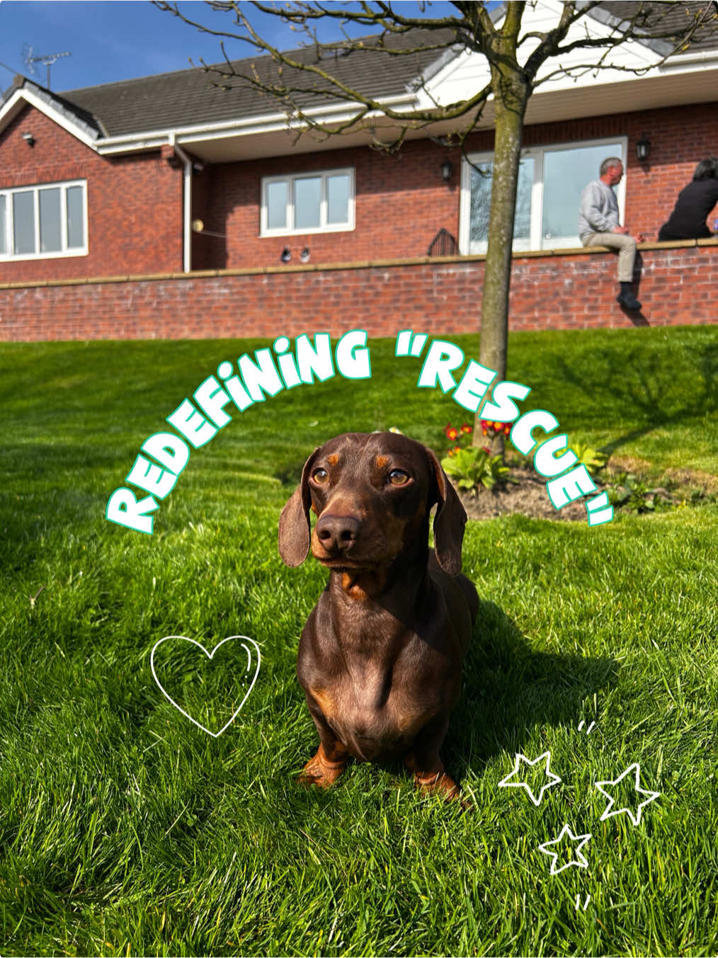 @sir_reggiethesausage