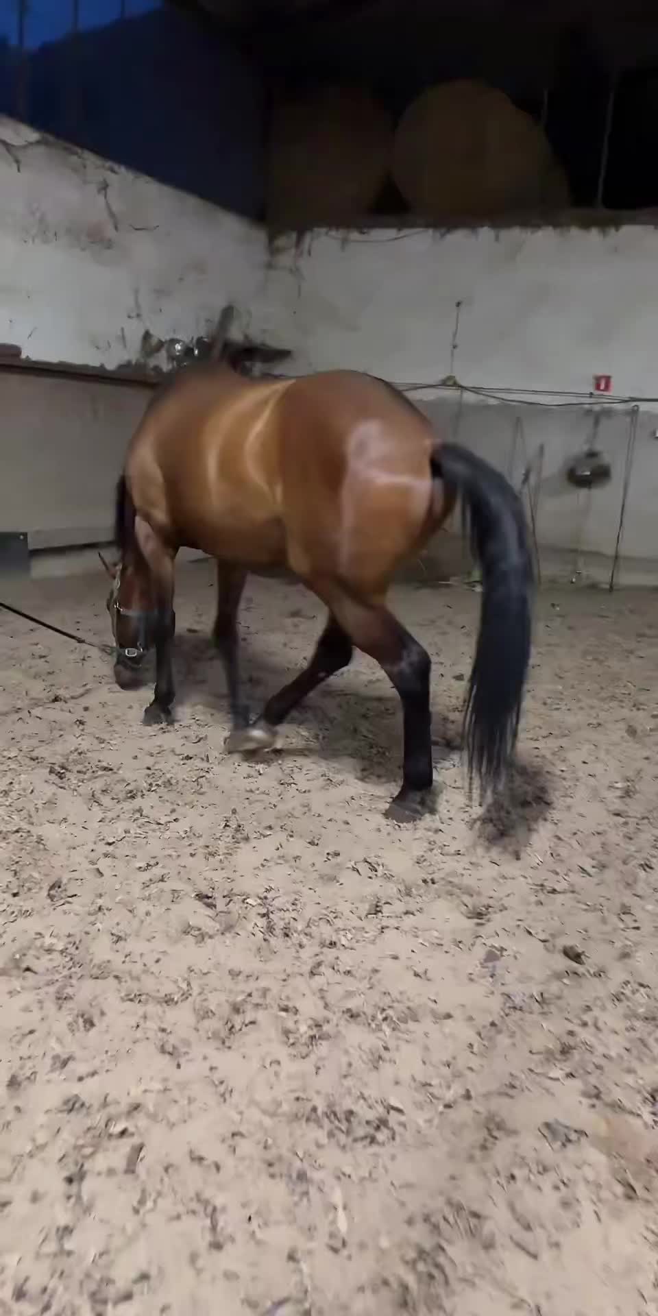 @Aga