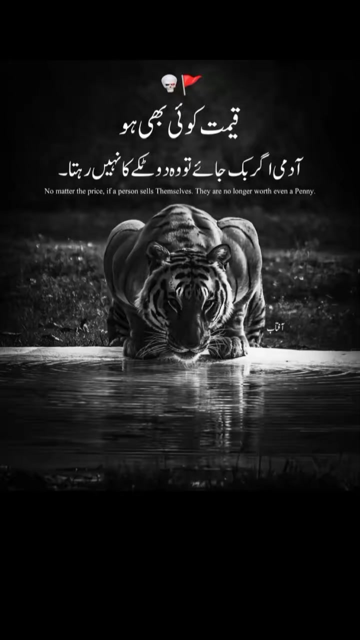 @Hasnain Sheikh