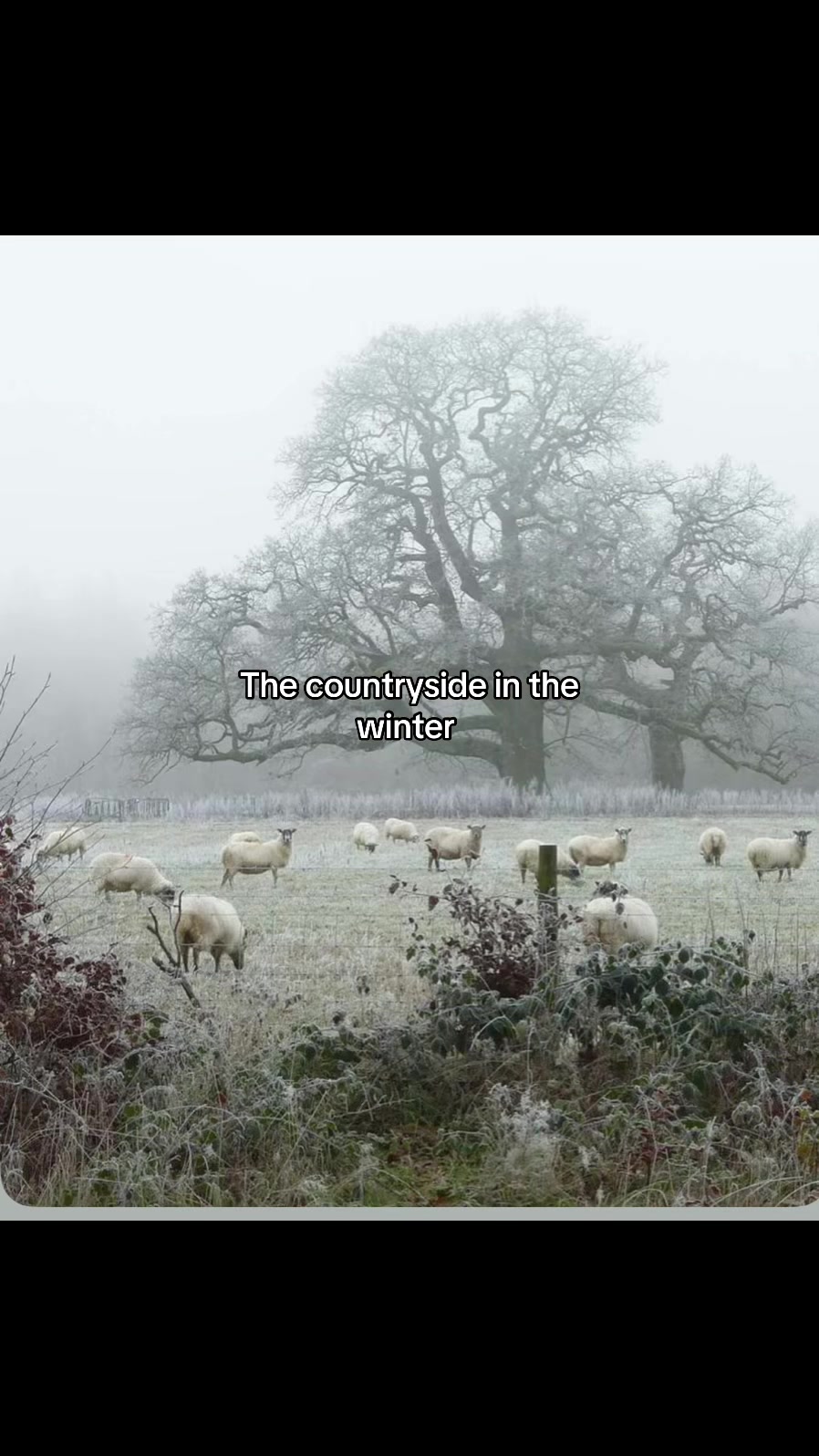 @courtney☁️