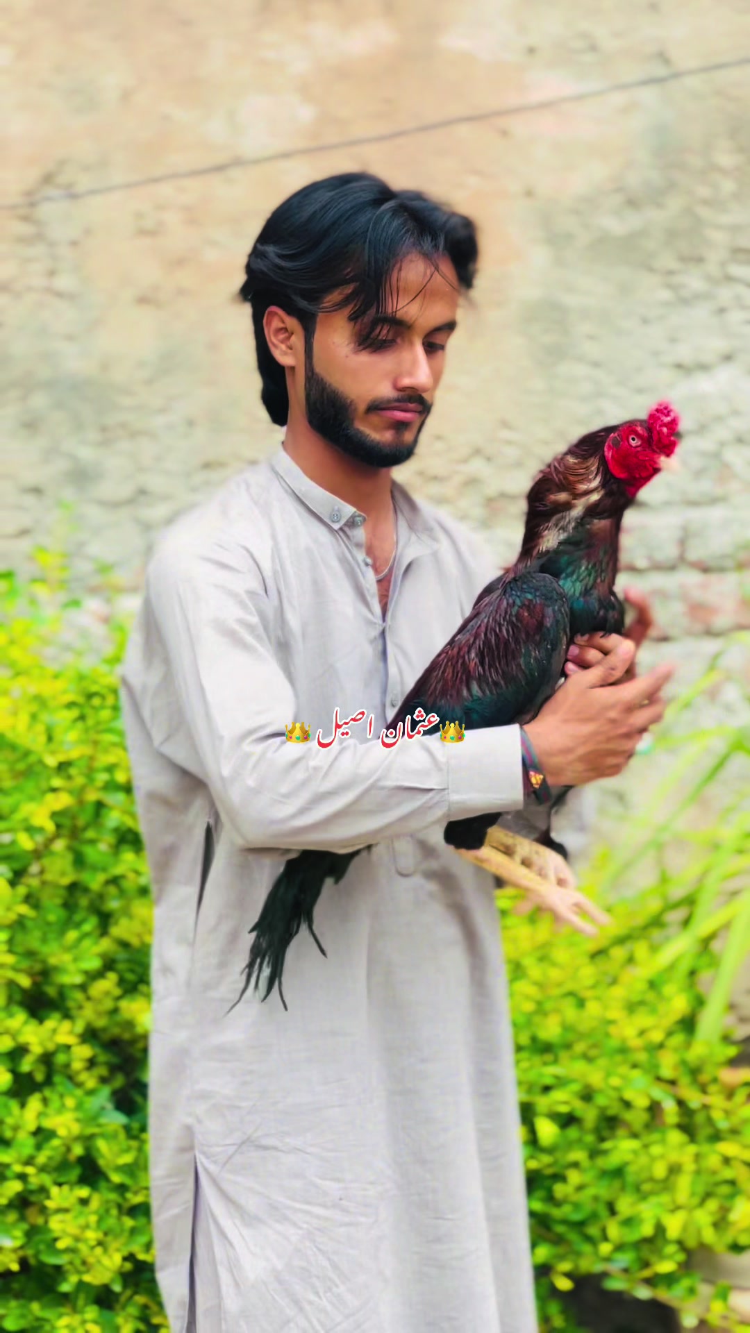 @👑عثمان اصیل 👑