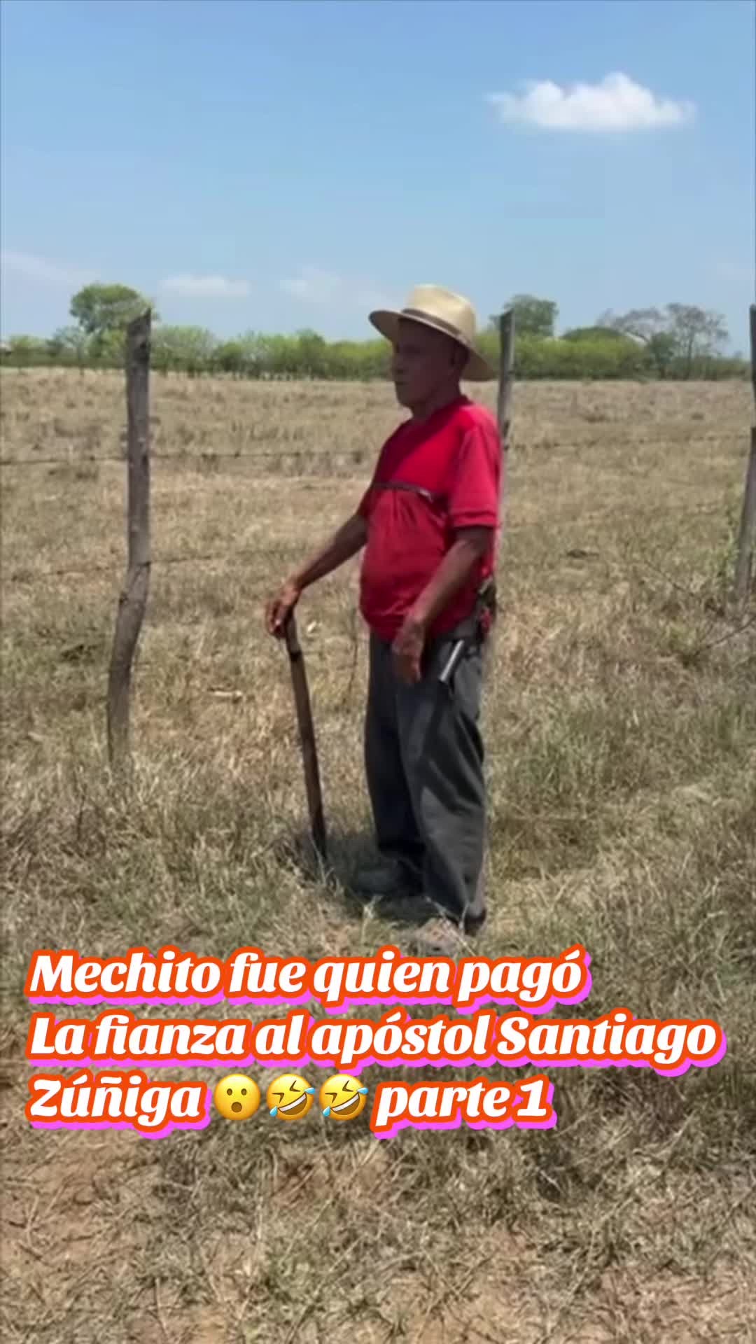 @BICHO