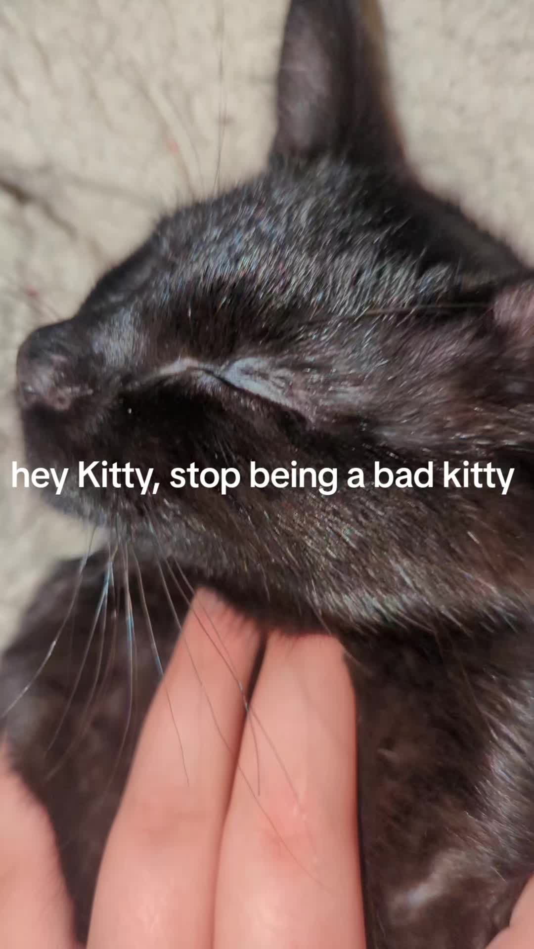 @erik_alt🤫
