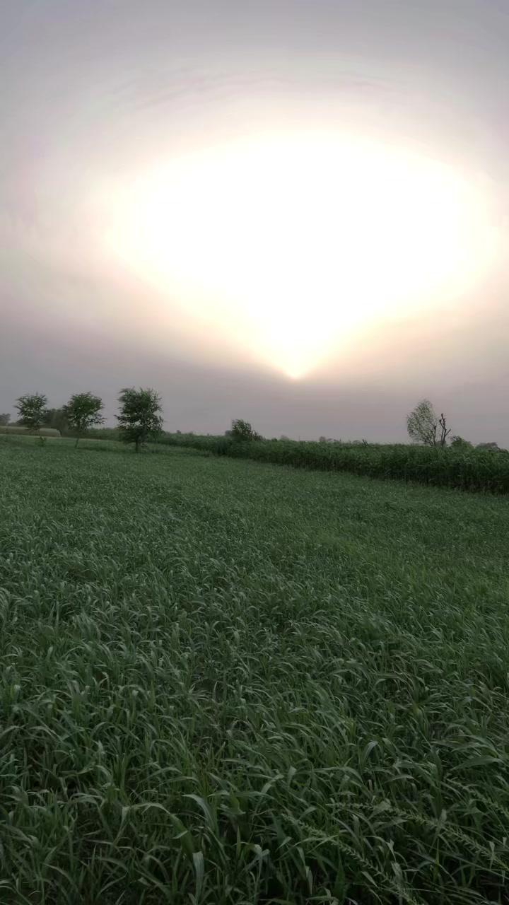 @nazam_joiya853