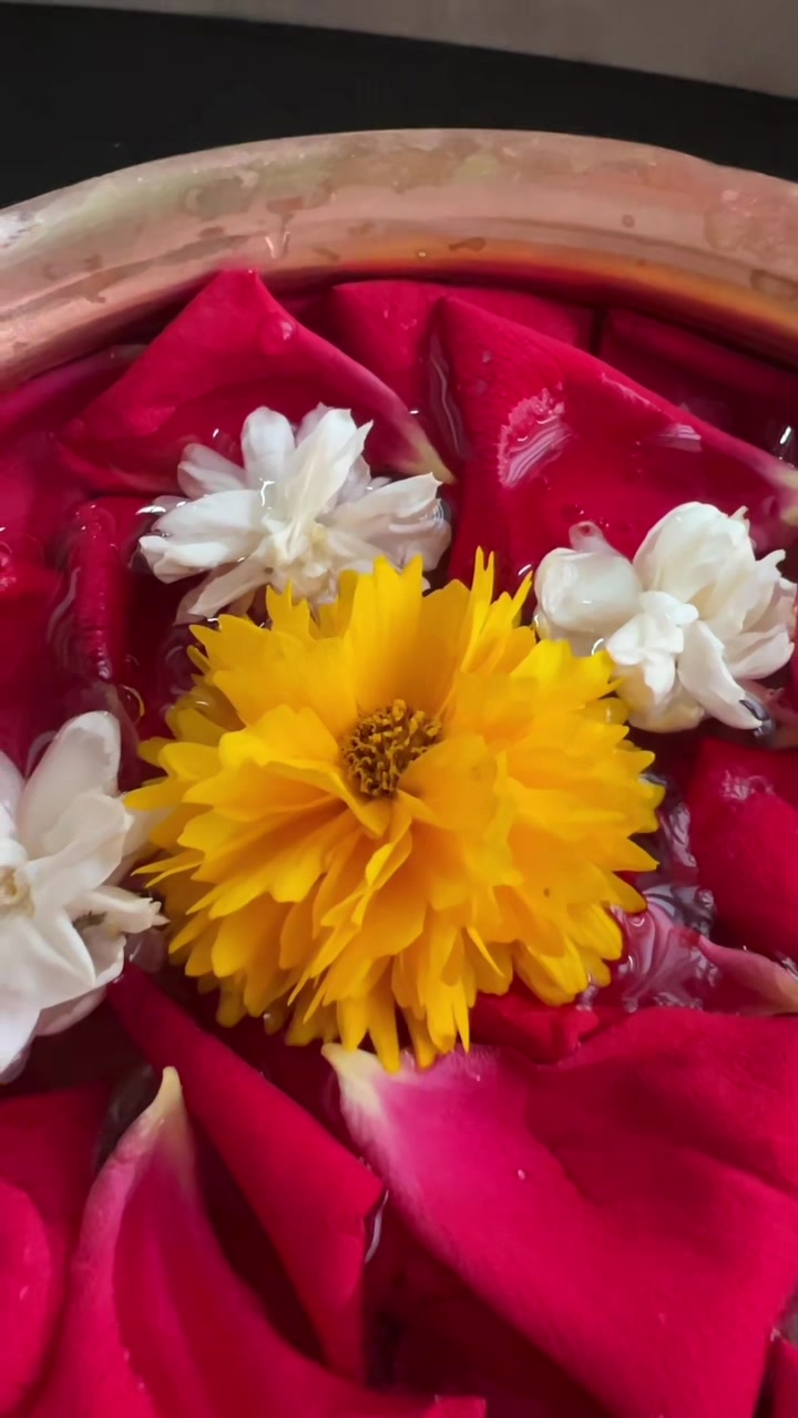@Ambu43❤️🧿