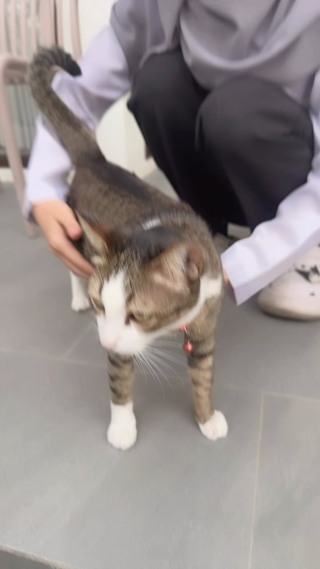 @รียาชอบแมว🩶🐈⬛