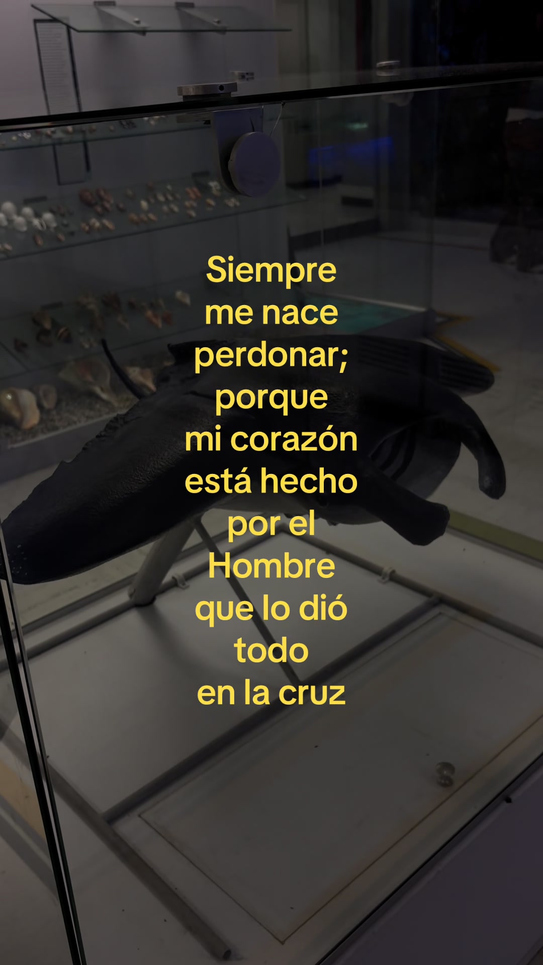 @Paulina🤍✨
