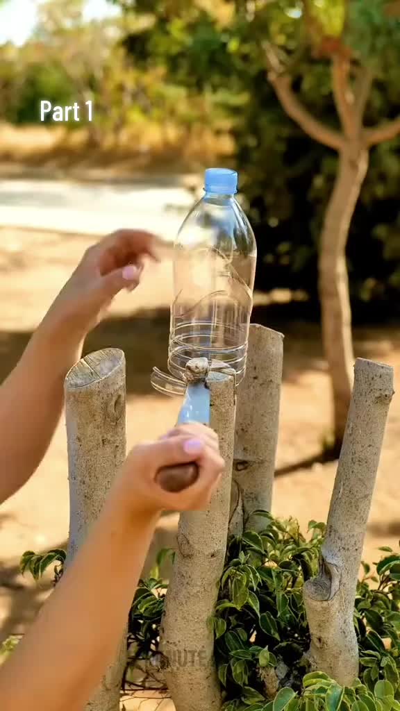 @✨قصص الشاب وحكايات ✅