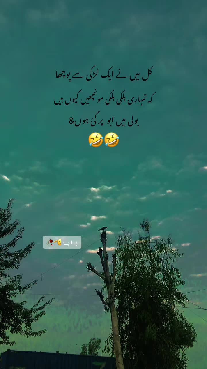 @▄︻デ🅩🅐🅗🅘🅓══━一