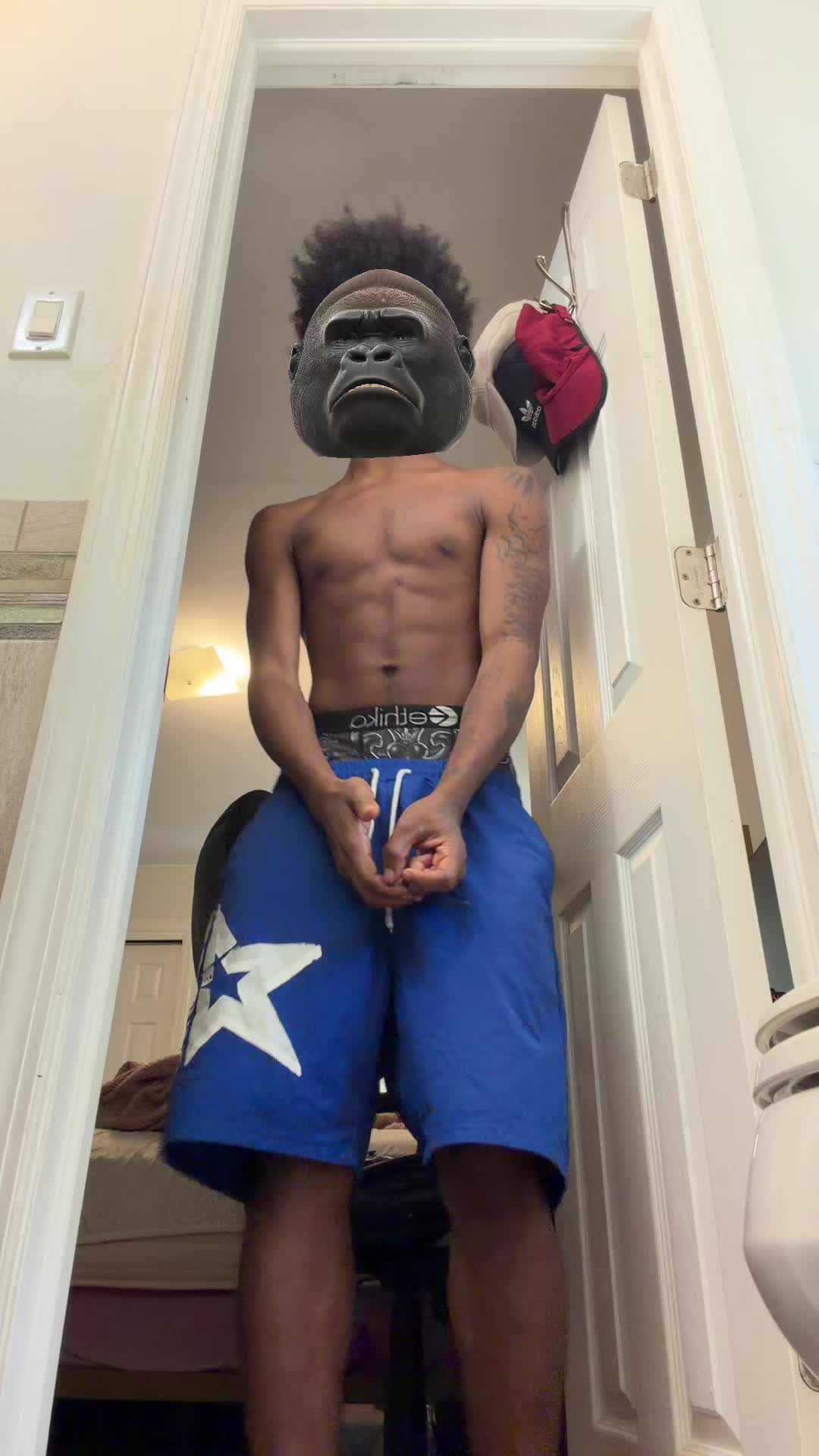 @Rilla🦍