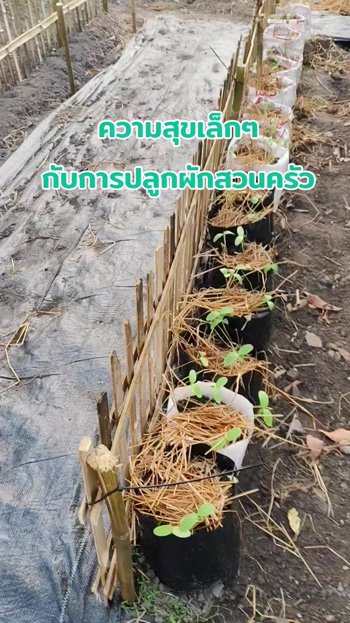 @คุณ L ศรี