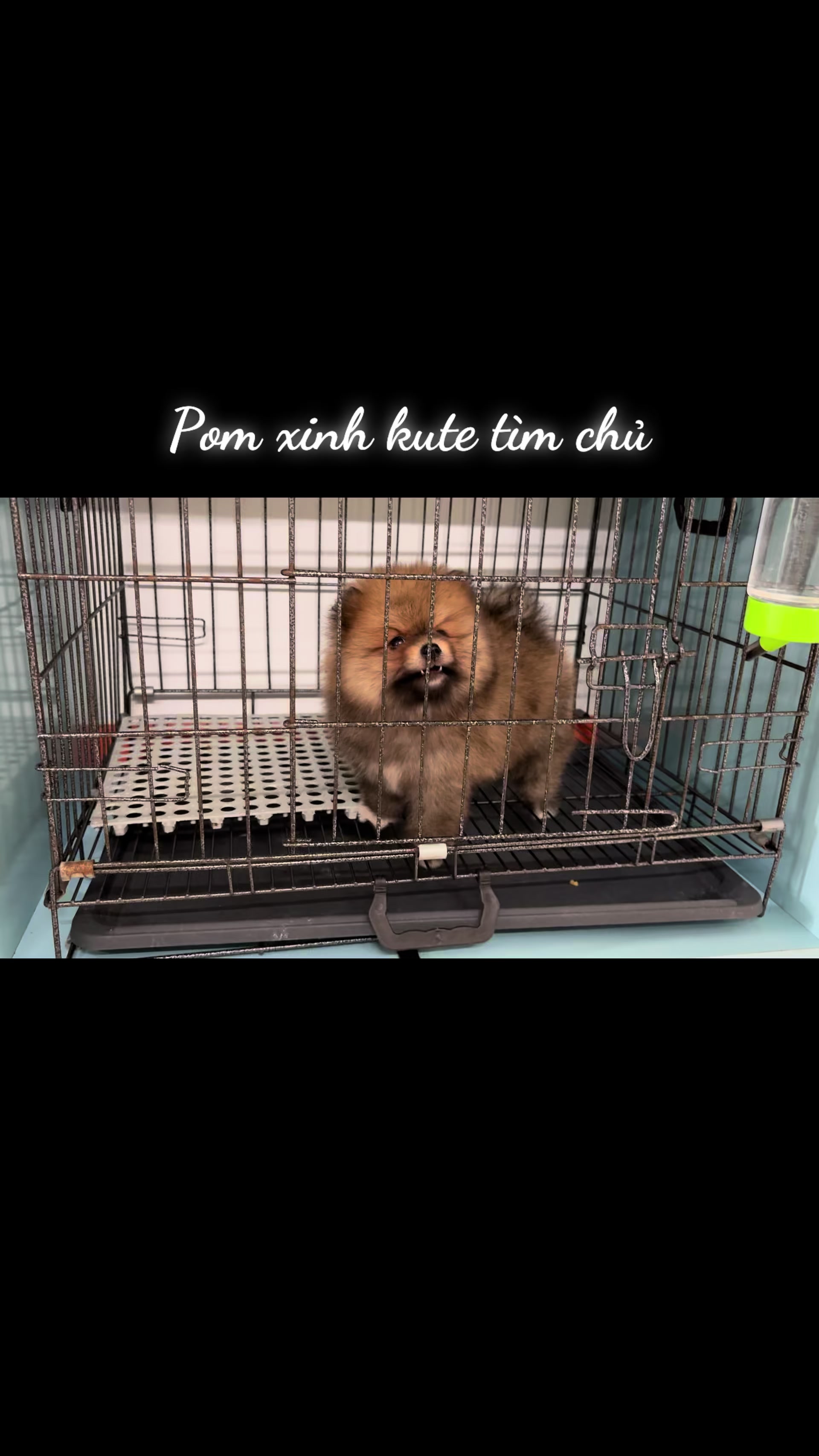 @PetHouse - Thế giới Pet