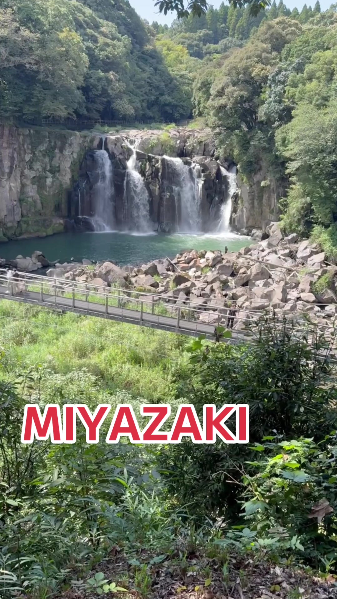 @🇯🇵guesthouse.miyazaki旅人宿