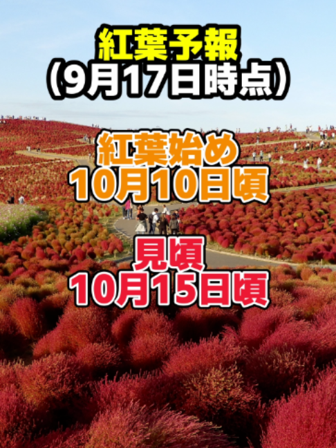 @イッチー