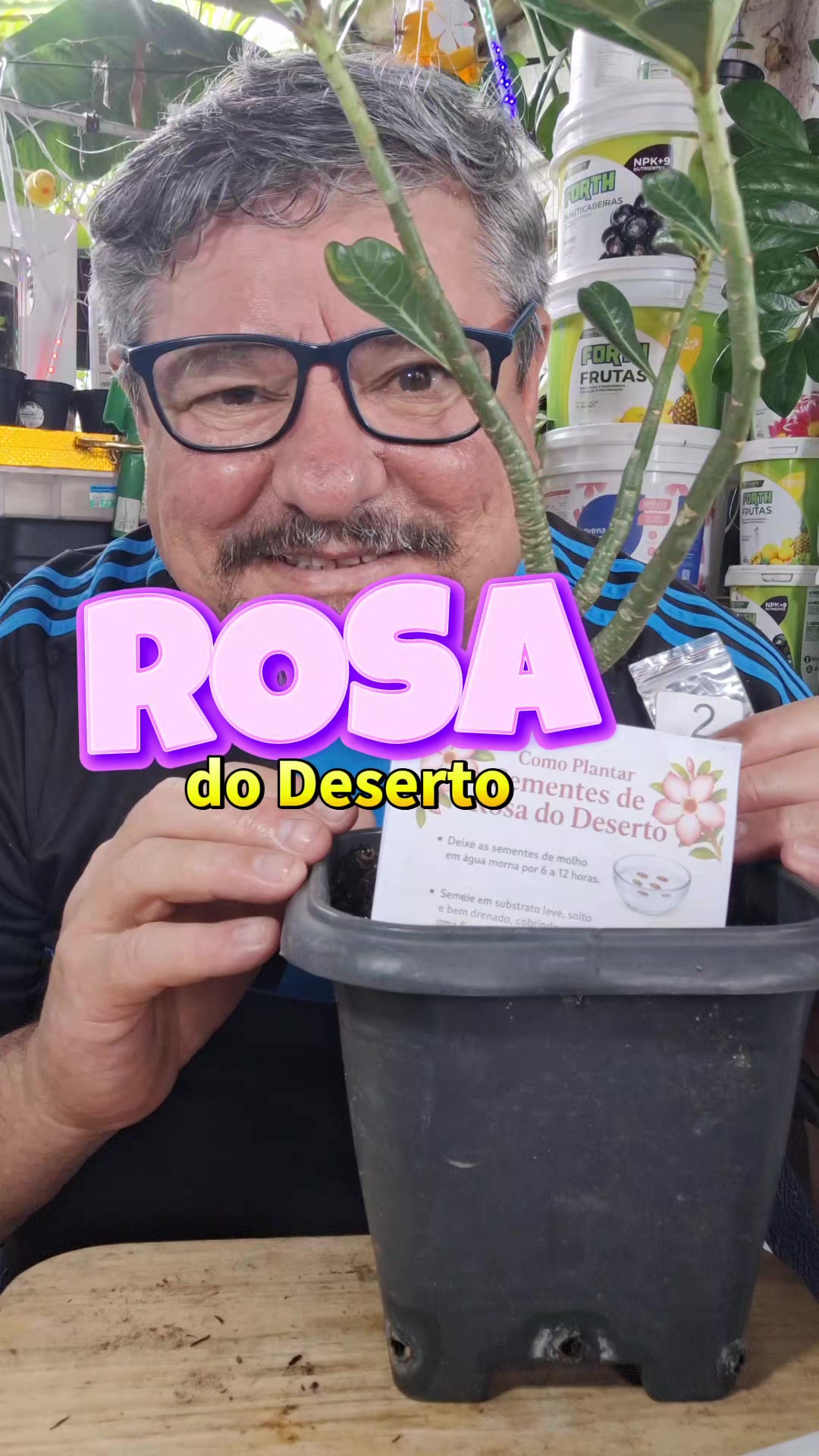 @ROÇA DO DRIM
