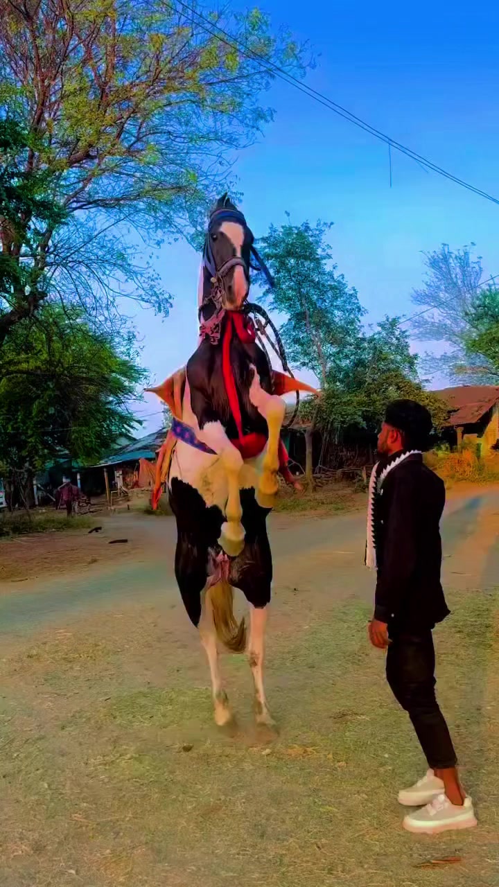 @@𝙂𝙍 𝙃𝙤𝙧𝙨𝙚 𝙁𝙖𝙧𝙢 🐴