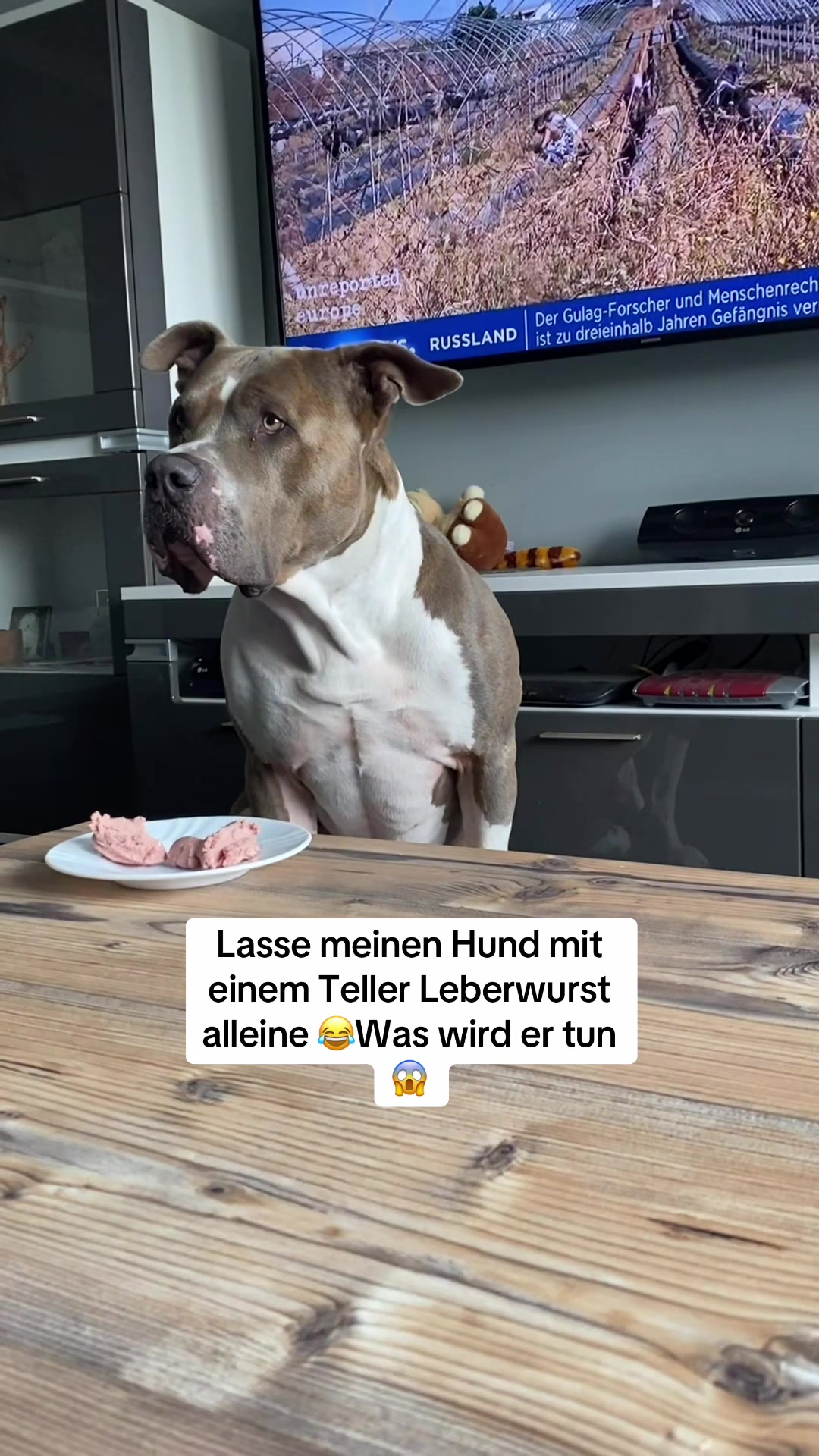 @XXLBALU