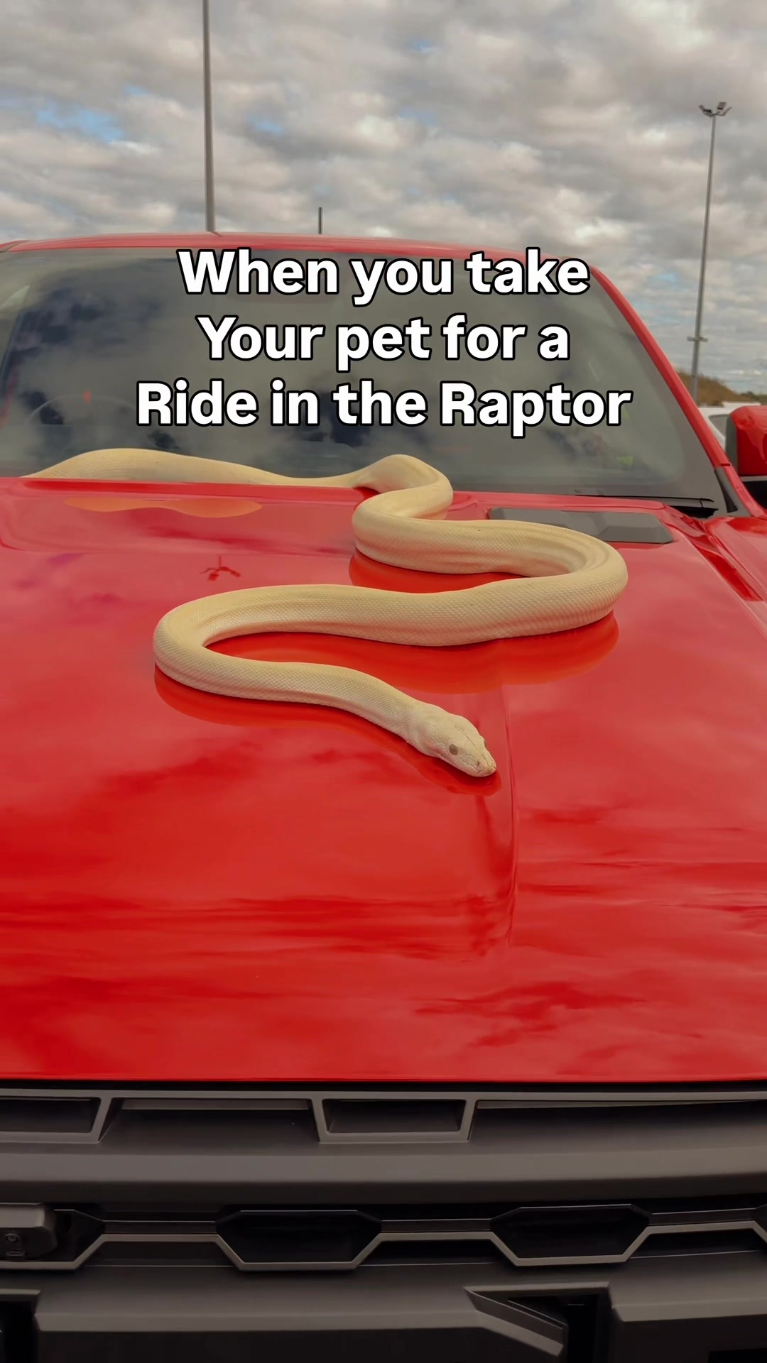 @kalthecarguy