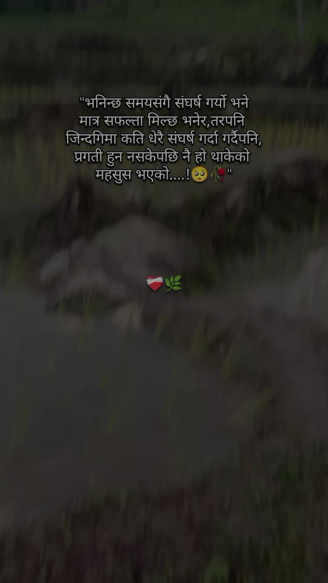 @ЁЭХМЁЭХБЁЭХОЁЭФ╕ЁЭХГтЭдя╕ПЁЯй╣ЁЯМ┐