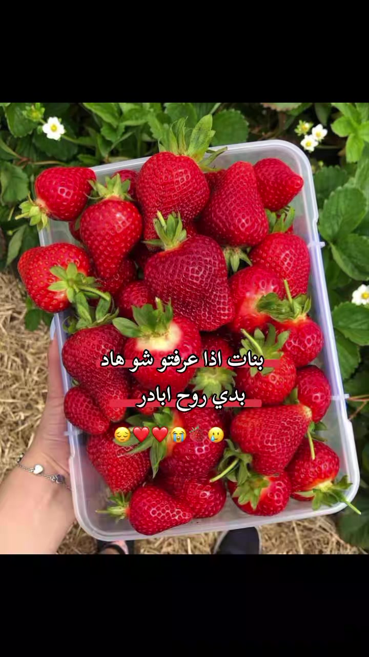 @طٰفِݪهِهِہۦ ݛݛااڪَﺰِهِهِہ¹⁶.