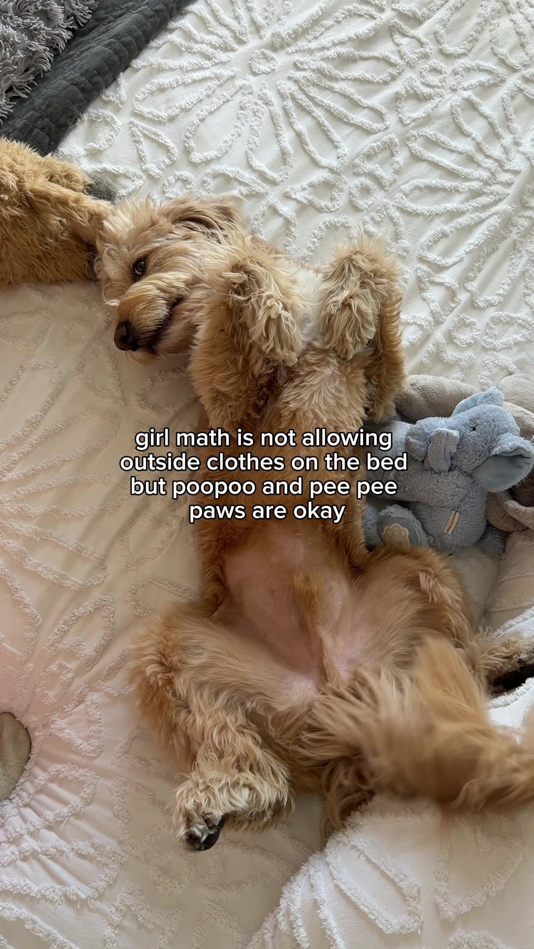 @Me, my Doods and I