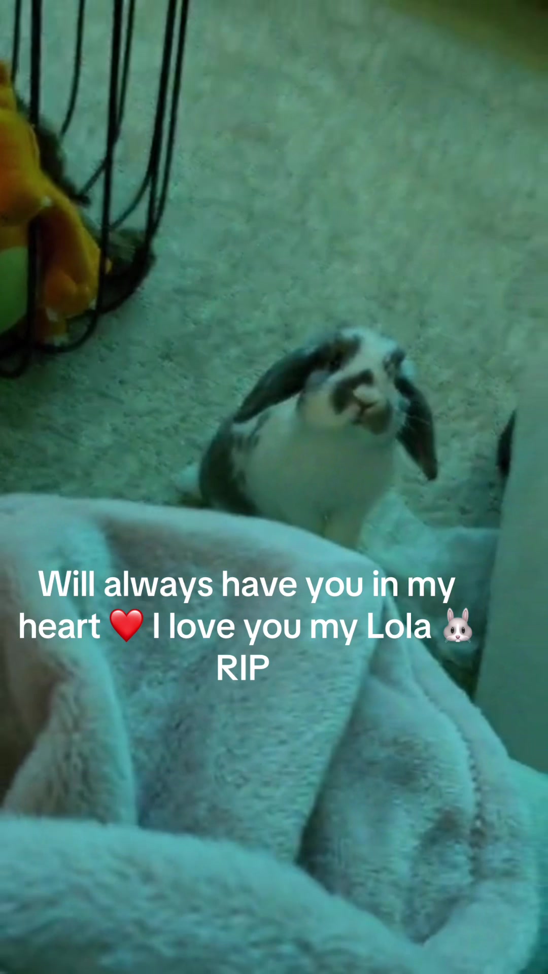 @Leydyydoll_