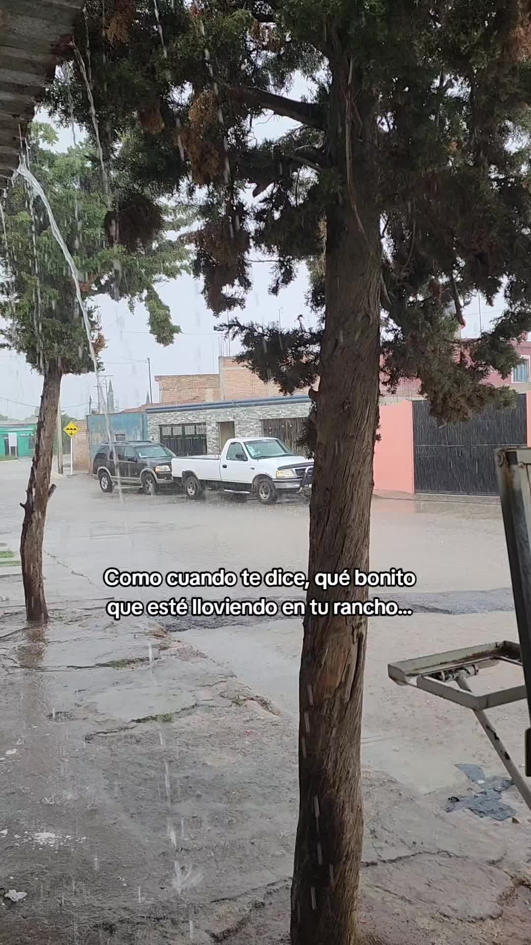 @Eliza Garcia