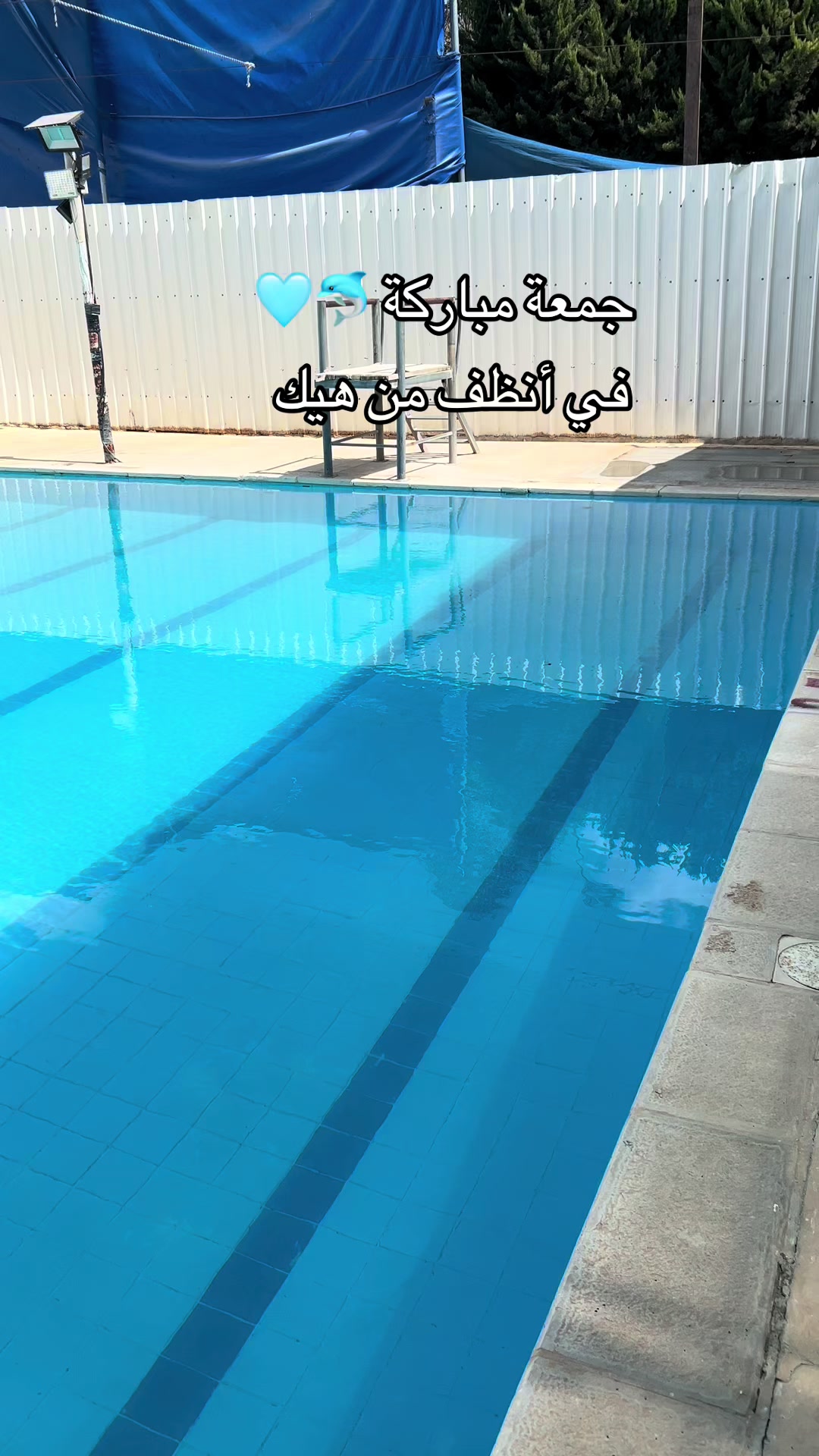 @مسبح الساحل 🏊🏻♂️🏊🏻♂️