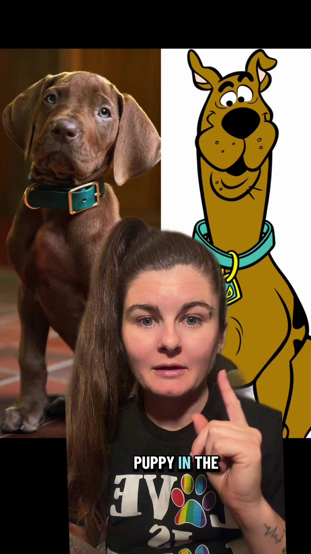 @Jess Shark🐾DOG PACK🐾
