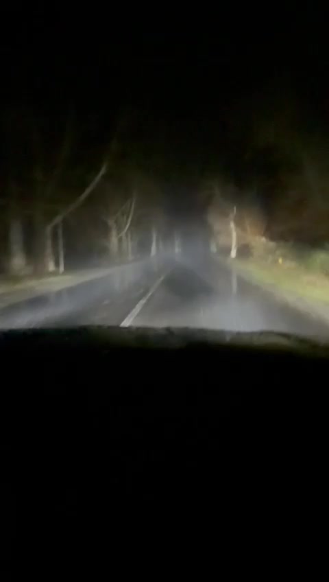 @Motovlog230
