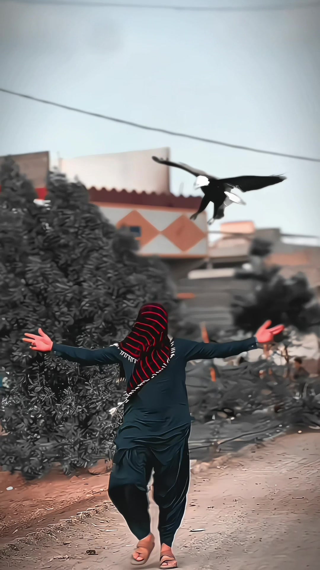 @â ïžïž ð¯ð¬ð¹ð¶ â ïžïž