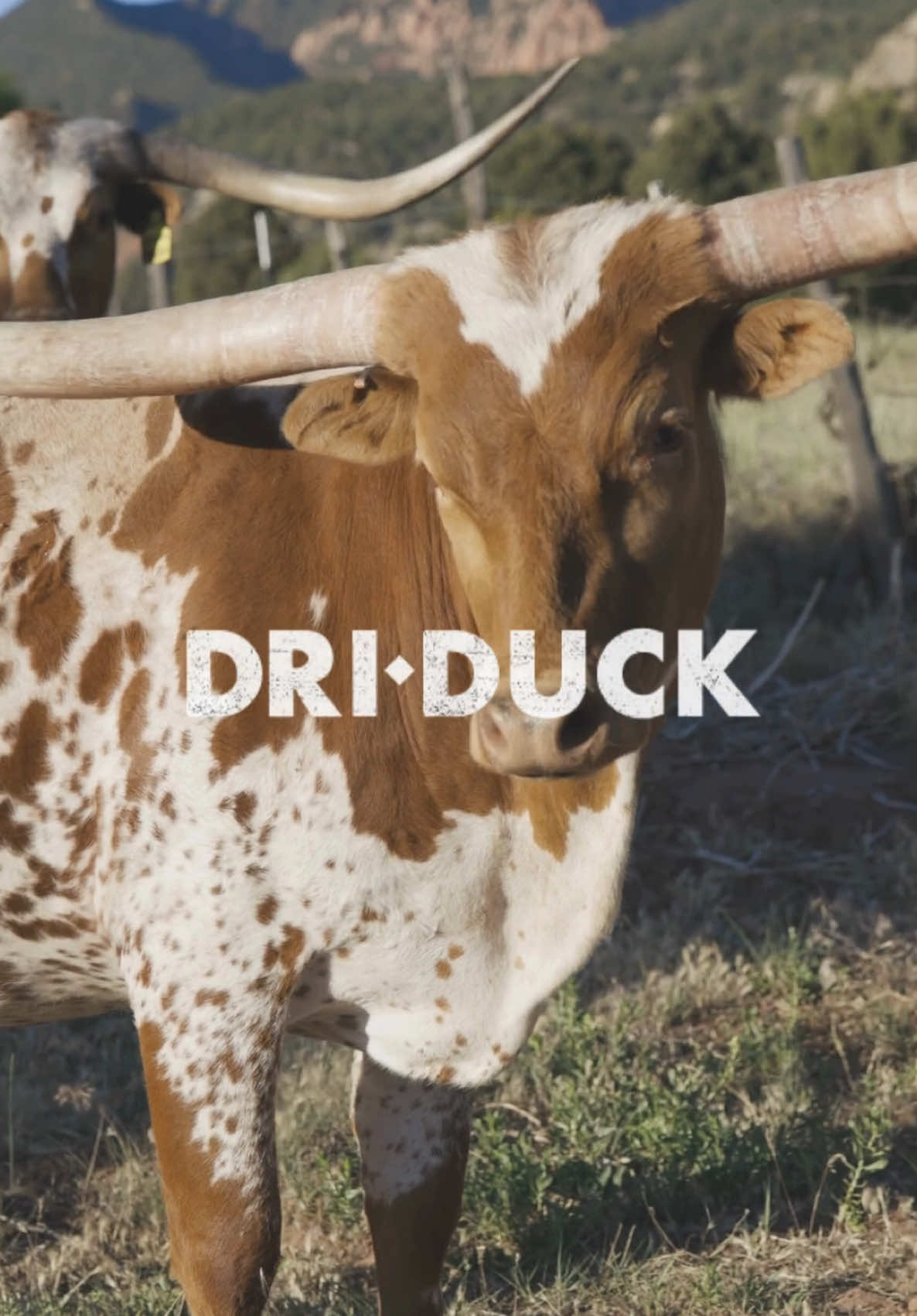 @DRI DUCK