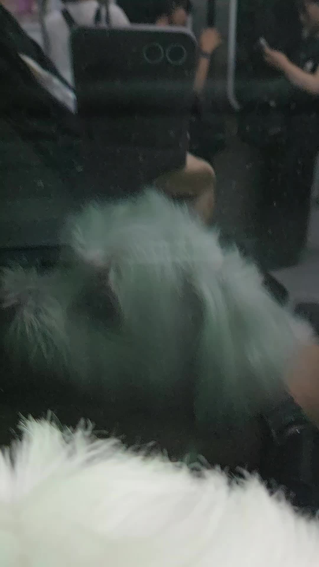 @❤파란눈녹차❤