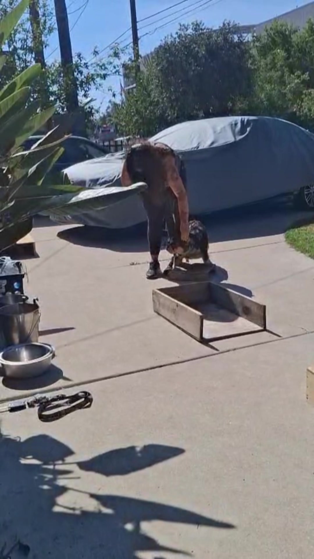 @Cali K9