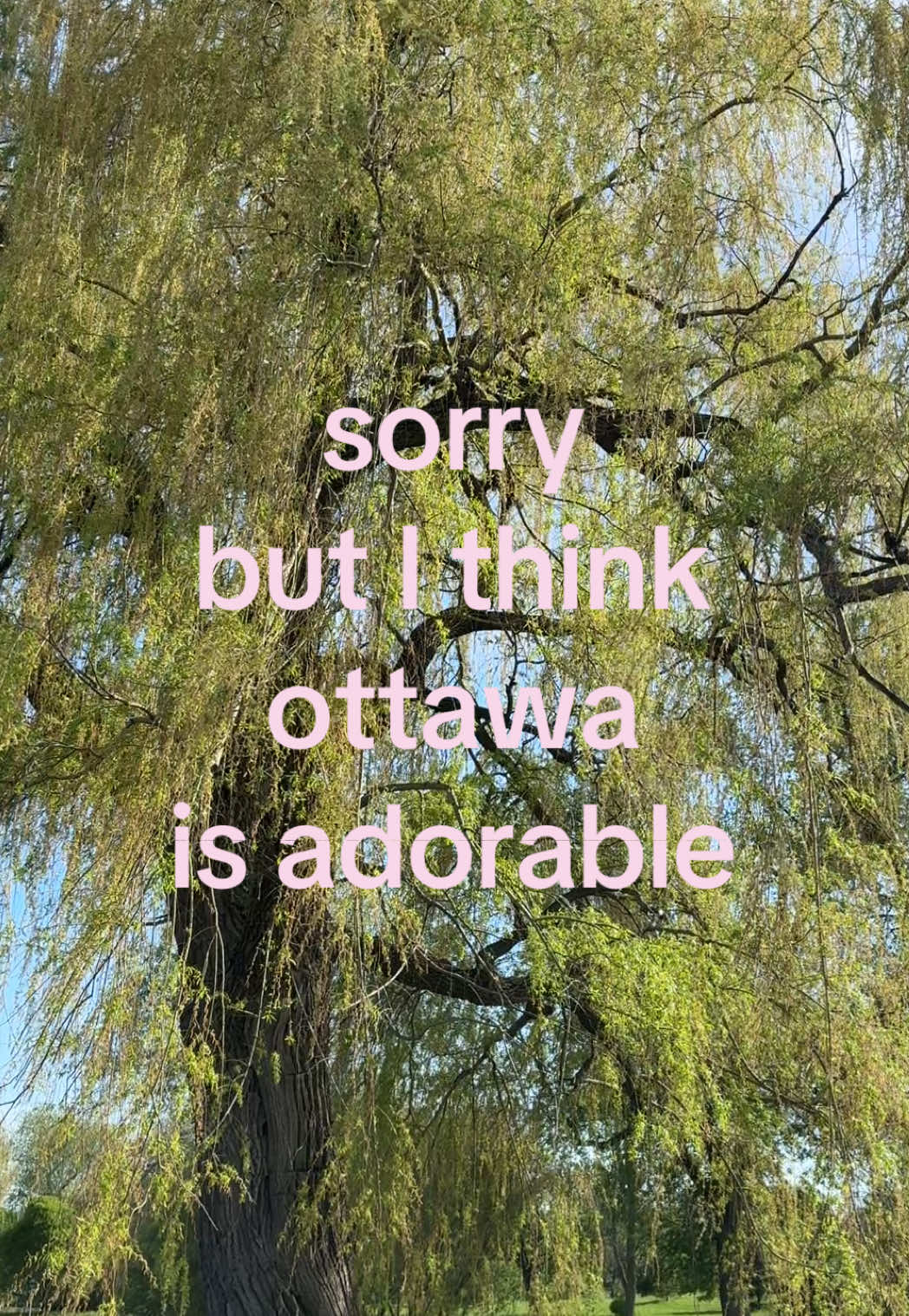 @kira_gregory