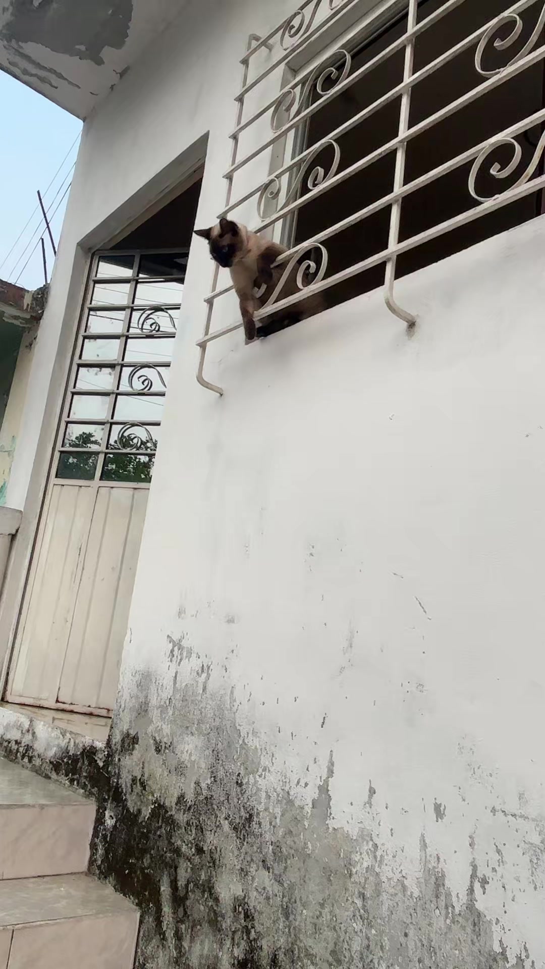 @Michicats